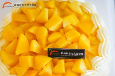 05后學(xué)技術(shù)選擇什么技術(shù)好